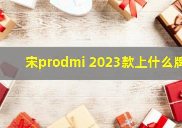 宋prodmi 2023款上什么牌